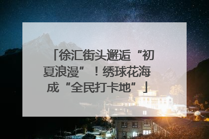 徐汇街头邂逅“初夏浪漫”！绣球花海成“全民打卡地”