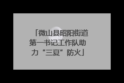 微山县昭阳街道第一书记工作队助力“三夏”防火