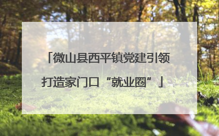 微山县西平镇党建引领打造家门口“就业圈”