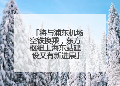 将与浦东机场空铁换乘，东方枢纽上海东站建设又有新进展