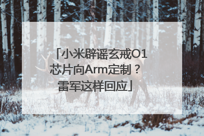 小米辟谣玄戒O1芯片向Arm定制？雷军这样回应