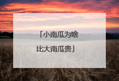 小南瓜为啥比大南瓜贵