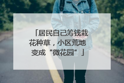 居民自己筹钱栽花种草，小区荒地变成“微花园”