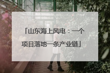 山东海上风电：一个项目落地一条产业链