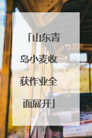 山东青岛小麦收获作业全面展开