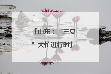 山东：“三夏”大忙进行时