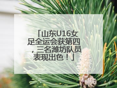 山东U16女足全运会获第四，三名潍坊队员表现出色！
