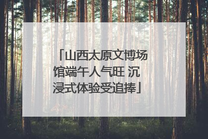山西太原文博场馆端午人气旺 沉浸式体验受追捧