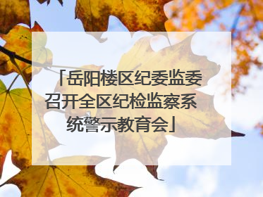 岳阳楼区纪委监委召开全区纪检监察系统警示教育会