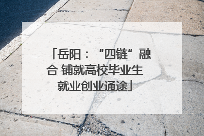岳阳：“四链”融合 铺就高校毕业生就业创业通途