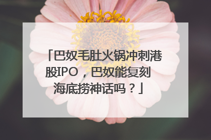 巴奴毛肚火锅冲刺港股IPO，巴奴能复刻海底捞神话吗？