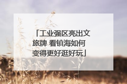 工业强区亮出文旅牌 看镇海如何变得更好逛好玩
