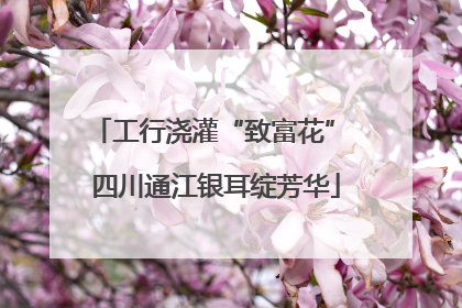 工行浇灌“致富花” 四川通江银耳绽芳华