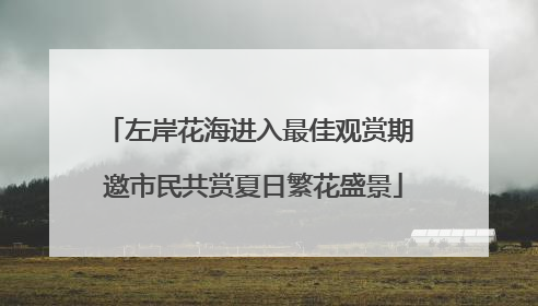 左岸花海进入最佳观赏期 邀市民共赏夏日繁花盛景