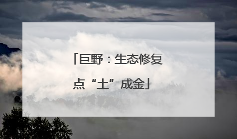 巨野：生态修复点“土”成金