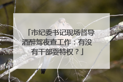 市纪委书记现场督导酒醉驾夜查工作：有没有干部耍特权？
