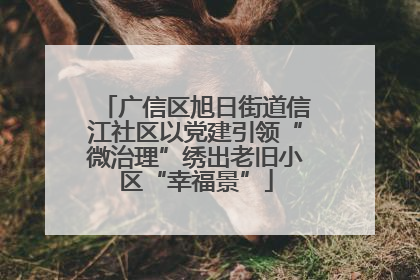 广信区旭日街道信江社区以党建引领“微治理”绣出老旧小区“幸福景”