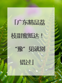 广东精品荔枝甜蜜抵达！“豫”见就别错过