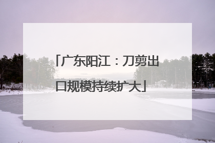 广东阳江：刀剪出口规模持续扩大