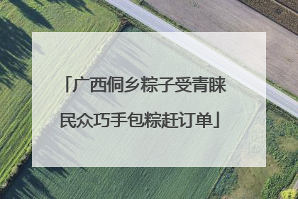 广西侗乡粽子受青睐 民众巧手包粽赶订单