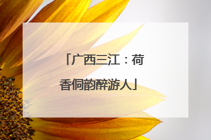 广西三江：荷香侗韵醉游人