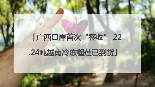 广西口岸首次“签收” 22.24吨越南冷冻榴莲已到货