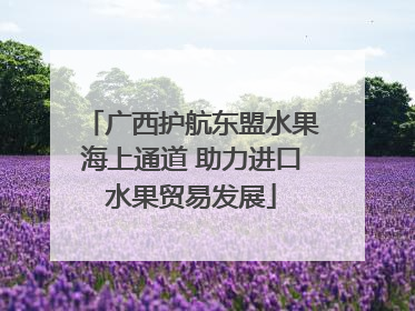 广西护航东盟水果海上通道 助力进口水果贸易发展