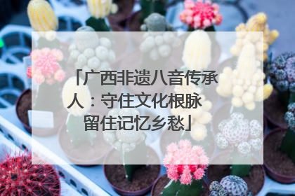 广西非遗八音传承人：守住文化根脉 留住记忆乡愁