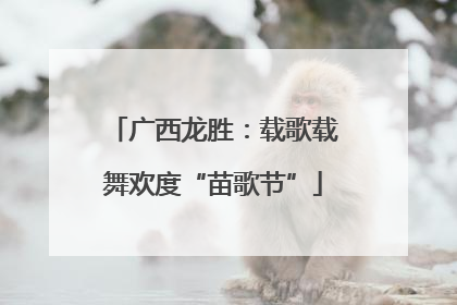 广西龙胜：载歌载舞欢度“苗歌节”