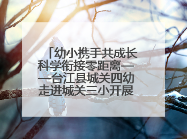 幼小携手共成长科学衔接零距离——台江县城关四幼走进城关三小开展幼小衔接活动