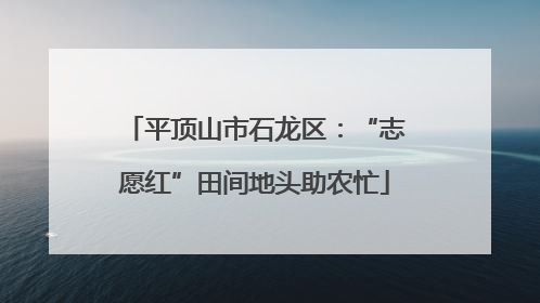 平顶山市石龙区：“志愿红”田间地头助农忙