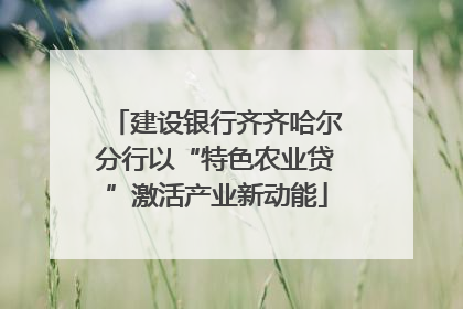 建设银行齐齐哈尔分行以“特色农业贷”激活产业新动能