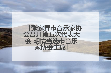 张家界市音乐家协会召开第五次代表大会 胡情当选市音乐家协会主席