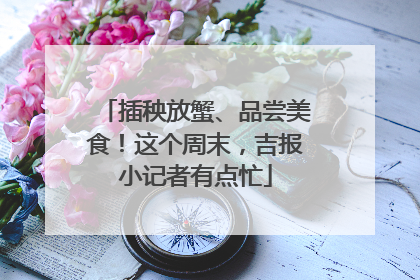 插秧放蟹、品尝美食！这个周末，吉报小记者有点忙