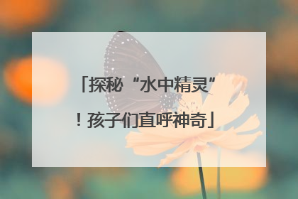 探秘“水中精灵”！孩子们直呼神奇