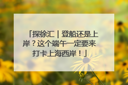 探徐汇｜登船还是上岸？这个端午一定要来打卡上海西岸！