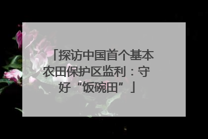 探访中国首个基本农田保护区监利：守好“饭碗田”