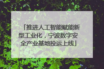 推进人工智能赋能新型工业化，宁波数字安全产业基地投运上线