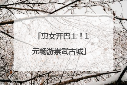 惠女开巴士！1元畅游崇武古城