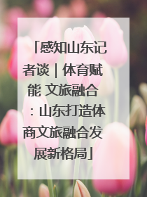 感知山东记者谈｜体育赋能 文旅融合：山东打造体商文旅融合发展新格局