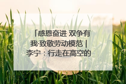 感恩奋进 双争有我·致敬劳动模范｜李宁：行走在高空的“电网卫士”