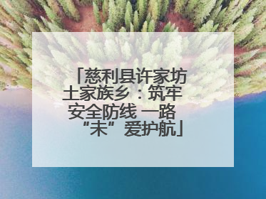 慈利县许家坊土家族乡：筑牢安全防线 一路“未”爱护航