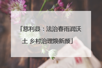 慈利县：法治春雨润沃土 乡村治理焕新颜