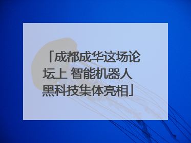 成都成华这场论坛上 智能机器人黑科技集体亮相