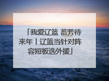 我爱辽篮 蓄芳待来年丨辽篮当针对阵容短板选外援