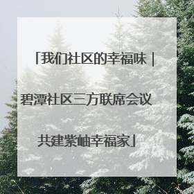 我们社区的幸福味｜碧潭社区三方联席会议共建紫岫幸福家