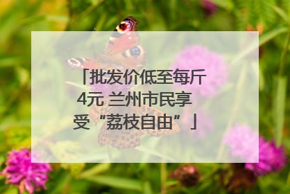 批发价低至每斤4元 兰州市民享受“荔枝自由”