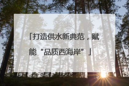 打造供水新典范，赋能“品质西海岸”