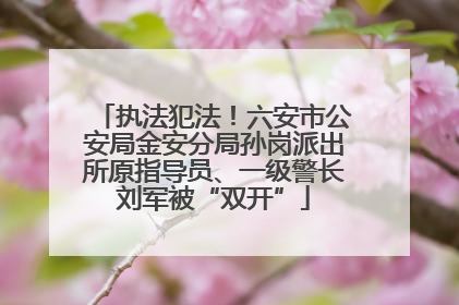 执法犯法！六安市公安局金安分局孙岗派出所原指导员、一级警长刘军被“双开”