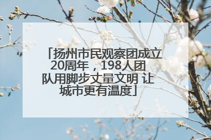 扬州市民观察团成立20周年，198人团队用脚步丈量文明 让城市更有温度